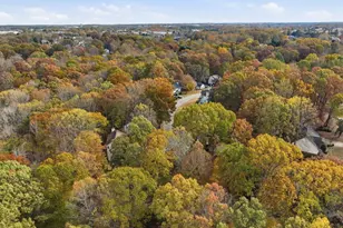 19 Tilden Ct, Simpsonville, SC 29680 - Photo 48