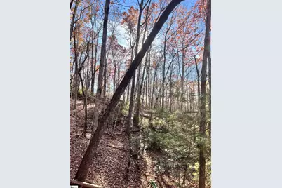 00 Sc-11 Highway, Travelers Rest, SC 29690 - Photo 6