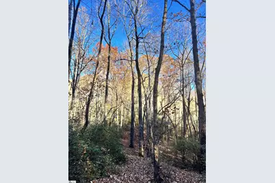 00 Sc-11 Highway, Travelers Rest, SC 29690 - Photo 16