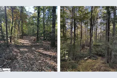 00 Traynham Road, Honea Path, SC 29654 - Photo 10