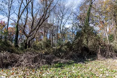 00 Elizabeth Street, Clinton, SC 29325 - Photo 24