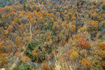 45 Danna View Court, Marietta, SC 29661 - Photo 6