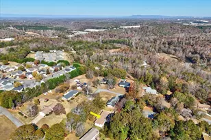 251 Raven Wood Cir, Piedmont, SC 29673 - Photo 38