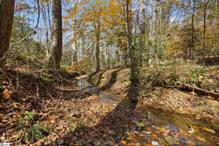 186 Woodville Rd, Pelzer, SC 29669 - Photo 46