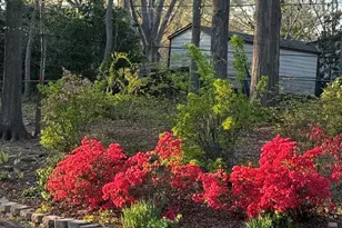 105 Hillpine Dr, Simpsonville, SC 29681 - Photo 36