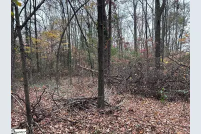 11 Pleasant Grove Drive, Greenville, SC 29611 - Photo 12