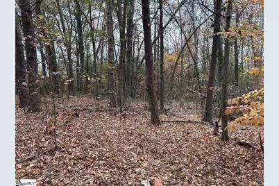 11 Pleasant Grove Drive, Greenville, SC 29611 - Photo 10