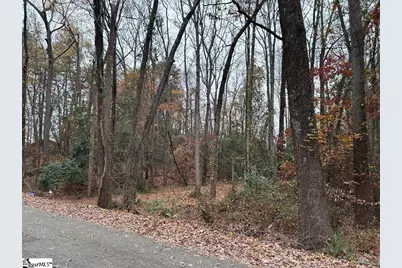 11 Pleasant Grove Drive, Greenville, SC 29611 - Photo 8