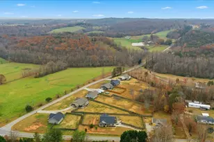 3542 Sc Hwy 414, Landrum, SC 29356 - Photo 28