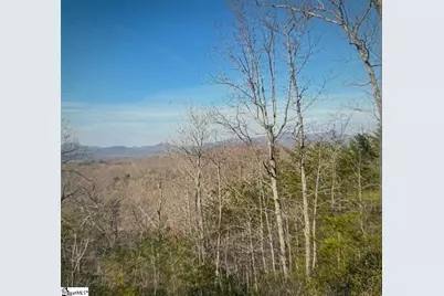 1130 Packs Mountain Ridge Road, Taylors, SC 29687 - Photo 2