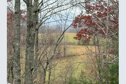 1130 Packs Mountain Ridge Road, Taylors, SC 29687 - Photo 4