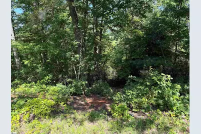1130 Packs Mountain Ridge Road, Taylors, SC 29687 - Photo 14