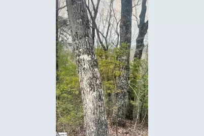 1130 Packs Mountain Ridge Road, Taylors, SC 29687 - Photo 8