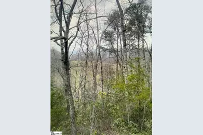 1130 Packs Mountain Ridge Road, Taylors, SC 29687 - Photo 8