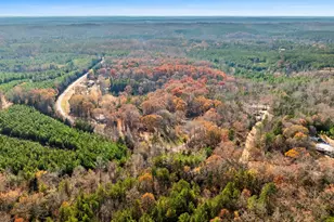 789 Abingdon Rd, Gaffney, SC 29340 - Photo 42