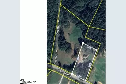 661 Cooley Road, Gray Court, SC 29645 - Photo 40