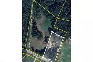 661 Cooley Rd, Gray Court, SC 29645 - Photo 40