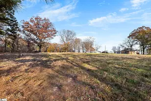 661 Cooley Rd, Gray Court, SC 29645 - Photo 32