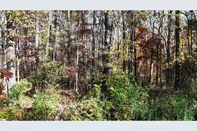 0000 Poplar Street #Lot 5, Woodruff, SC 29388 - Photo 2