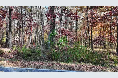 00000 Poplar Street #Lot 4, Woodruff, SC 29388 - Photo 2