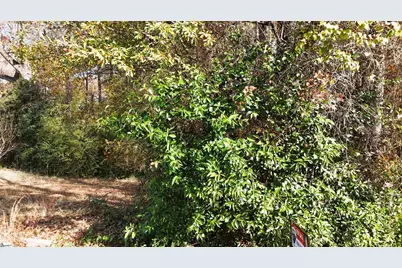 000000 Poplar Street #Lot 3, Woodruff, SC 29388 - Photo 2