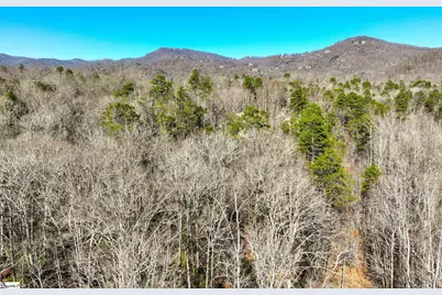 912 Hidden Hollow Trail, Travelers Rest, SC 29690 - Photo 8