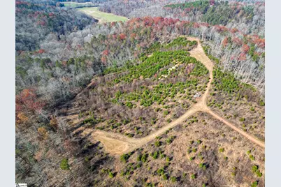 0 Skyland Drive, Greenville, SC 26661 - Photo 4