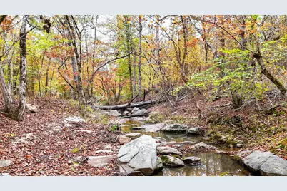 0 Sulpher Springs Road, Waterloo, SC 29384 - Photo 1