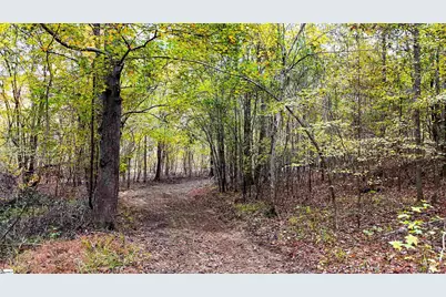 0 Sulpher Springs Road, Waterloo, SC 29384 - Photo 4