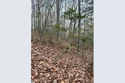 91 Roco Trail, Travelers Rest, SC 29690 - Photo 6