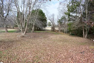 381 Royal Burgess Drive, Campobello, SC 29322 - Photo 38