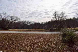 381 Royal Burgess Dr, Campobello, SC 29322 - Photo 36