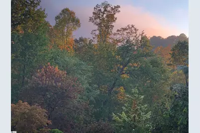 152 Glassy Falls Trail, Travelers Rest, SC 29690 - Photo 44