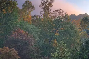 152 Glassy Falls Trail, Travelers Rest, SC 29690 - Photo 44