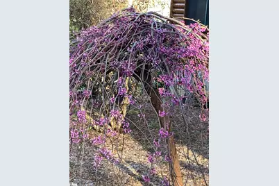 152 Glassy Falls Trail, Travelers Rest, SC 29690 - Photo 50