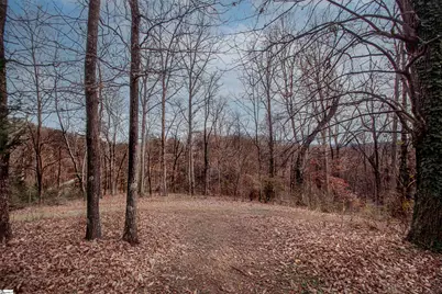 152 Glassy Falls Trail, Travelers Rest, SC 29690 - Photo 40