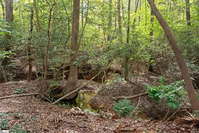 130 Kentmont Lane, Greer, SC 29651 - Photo 30