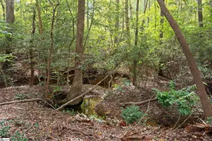 130 Kentmont Ln, Greer, SC 29651 - Photo 30