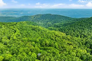 14 Woodbine Dr, Cleveland, SC 29635 - Photo 46