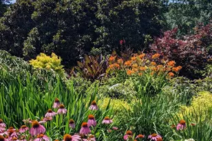 624 Driftwood Dr, Greer, SC 29651 - Photo 42