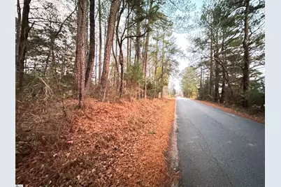 111 Hortizone Drive, Woodruff, SC 29388 - Photo 6