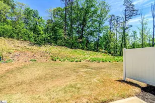 42 Meteora Way, Greenville, SC 29609 - Photo 28