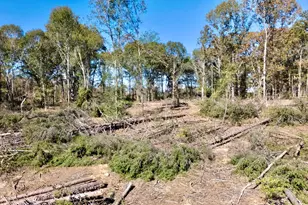 0 Antreville Hwy, Iva, SC 29655 - Photo 10