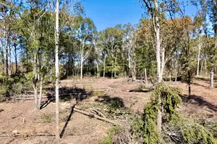 0 Antreville Hwy, Iva, SC 29655 - Photo 22