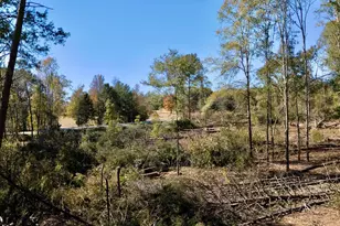 0 Antreville Hwy, Iva, SC 29655 - Photo 12