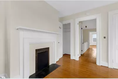 217 E Earle Street, Greenville, SC 29609 - Photo 20