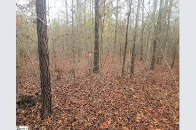 Scott Lane, Pelzer, SC 29669 - Photo 14