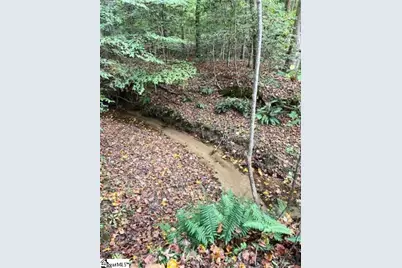 00 Catalan Court #LOT 3- Pennington Farms, Fountain Inn, SC 29644 - Photo 14