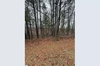 208 Wedge Way, Travelers Rest, SC 29690 - Photo 2