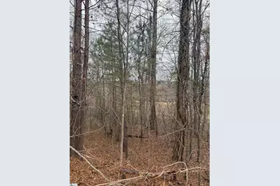 208 Wedge Way, Travelers Rest, SC 29690 - Photo 4